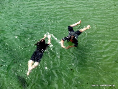 Swimming at Mousehole harbour