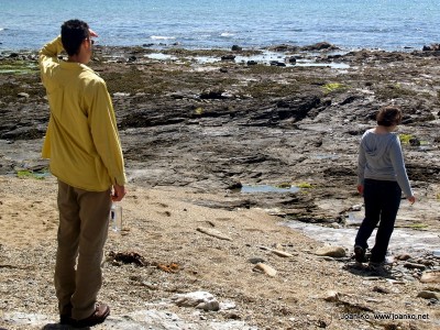 The beach at Marazion