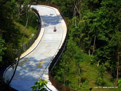 Joan on luge