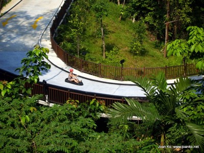 Joan on luge