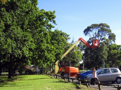 Cherry picker at Monash University