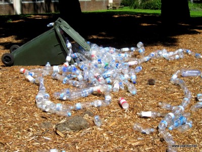 Rubbish in front of the engineering library