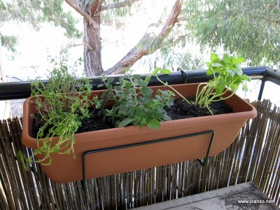 Thyme, oregano and basil Thyme, oregano and basil