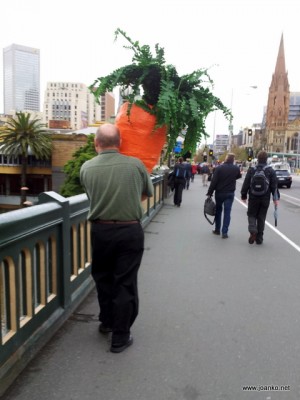 Man carrying green fernery