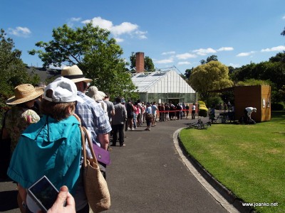The queue to see Melbourne's Titan Arum