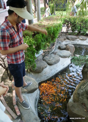 Jason feeding goldfish Jason feeding goldfish