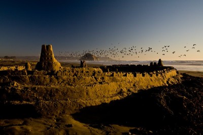 A large sand castle on the beach. It is dusk. There are many birds on the horizon.